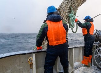 Россия запретит британским рыбакам ловлю в Баренцевом море