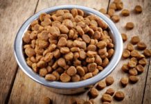 В Россию запретят ввоз кормов Hill’s из Италии