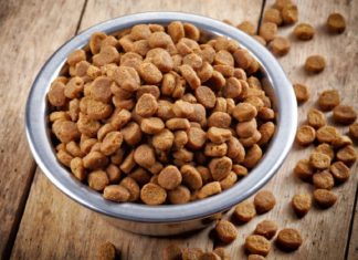 В Россию запретят ввоз кормов Hill’s из Италии