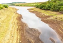 Европа подсчитала предварительный ущерб от засухи летом 2025 года