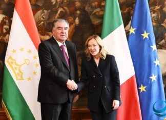 Таджикские абрикосы впервые экспортировали в Италию