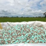 Россия нарастила поставки удобрений до максимума за полгода