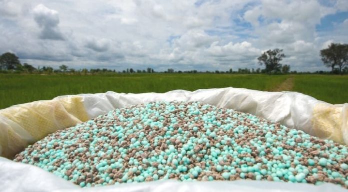 В Европе растет зависимость от российских удобрений