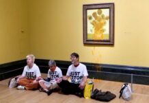Тюрьма не испугала: экоактивисты вновь пытались изувечить знаменитый шедевр Ван Гога