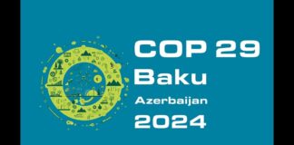 COP29: Новые горизонты в борьбе с изменением климата