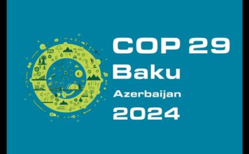 COP29: Новые горизонты в борьбе с изменением климата