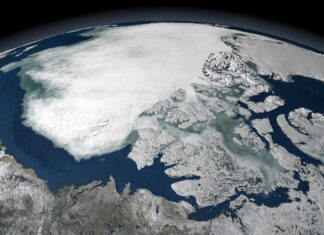 «Неожиданная активность в высоких широтах Арктики»: чем чревато для России приближение северного магнитного полюса Земли