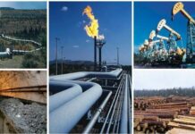 Неувядаемые ресурсы: сколько стоят все природные богатства России