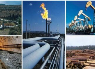 Неувядаемые ресурсы: сколько стоят все природные богатства России