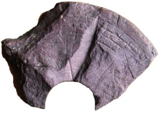 По всему миру находят странные “инопланетные диски”. Ученые выяснили, что это