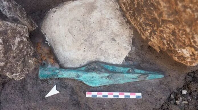 Более 200 богатых гробниц доримского периода раскопали в Италии