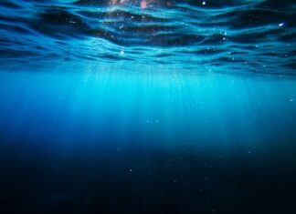 Мировой океан начал терять свет