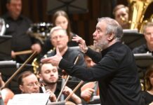 В Италии предложили провести концерт Гергиева в Вероне