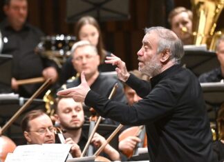 В Италии предложили провести концерт Гергиева в Вероне