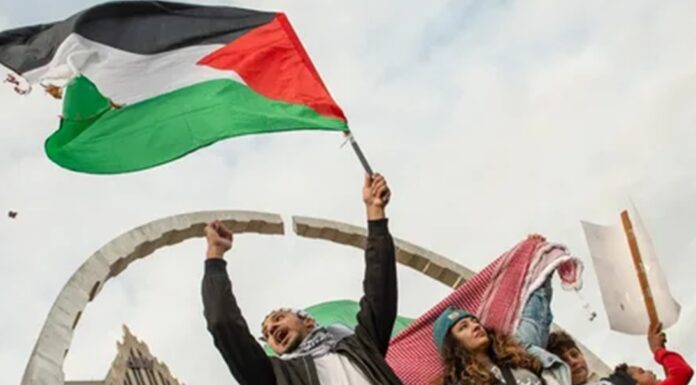 Франция и еще 11 стран создали коалицию для поддержки Палестины