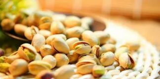 Bloomberg: мировые цены на фисташки выросли из-за конфликта на Ближнем Востоке