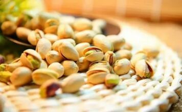 Bloomberg: мировые цены на фисташки выросли из-за конфликта на Ближнем Востоке