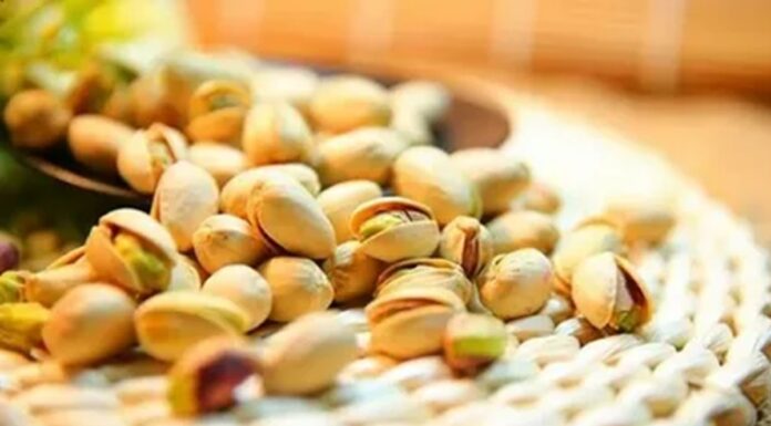 Bloomberg: мировые цены на фисташки выросли из-за конфликта на Ближнем Востоке