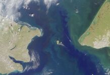 “Окупится быстро”. Возможно ли строительство тоннеля между Россией и США