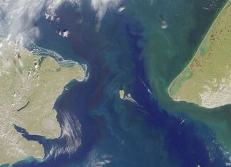 “Окупится быстро”. Возможно ли строительство тоннеля между Россией и США