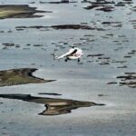 В сухом остатке: к чему приведет обмеление Каспийского моря