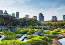 Назван самый посещаемый туристами город мира в 2025 году