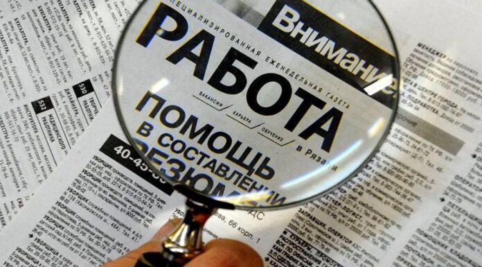 Названы самые востребованные профессии в 2026 году