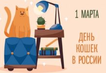 Россия заняла третье место в мире по числу домашних кошек