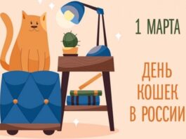 Россия заняла третье место в мире по числу домашних кошек