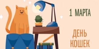 Россия заняла третье место в мире по числу домашних кошек