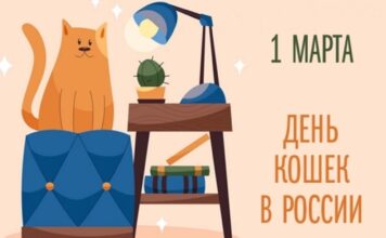 Россия заняла третье место в мире по числу домашних кошек