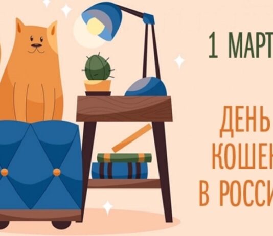 Россия заняла третье место в мире по числу домашних кошек