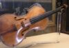 Ученые раскрыли, где Страдивари брал дерево для своих скрипок
