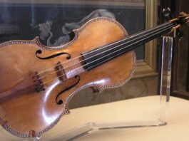 Ученые раскрыли, где Страдивари брал дерево для своих скрипок