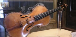 Ученые раскрыли, где Страдивари брал дерево для своих скрипок