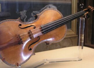 Ученые раскрыли, где Страдивари брал дерево для своих скрипок