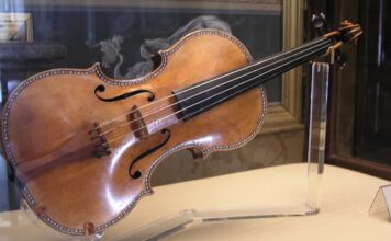 Ученые раскрыли, где Страдивари брал дерево для своих скрипок