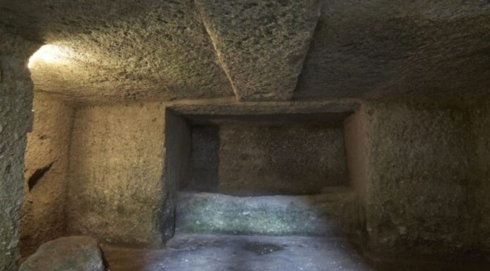 “Случай уникальный”. Ученые приблизились к разгадке тайны Римской империи